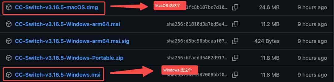 Codex 的终极使用教程。