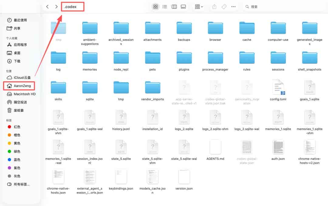 1.2GB 的 .codex 文件夹里,到底藏了什么?