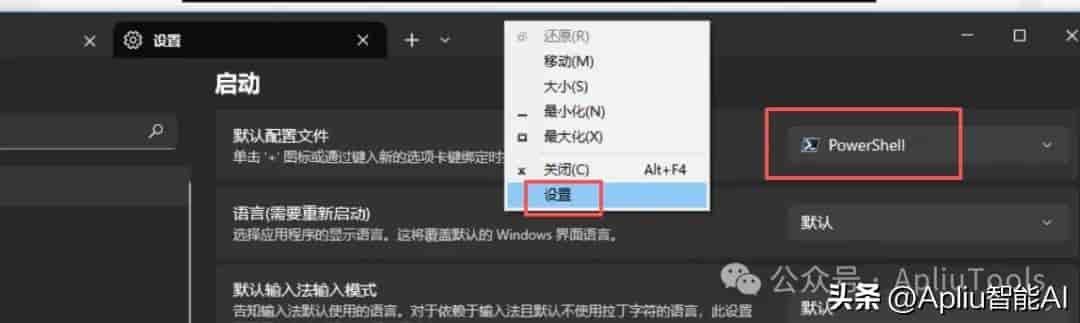 Codex 安装教程