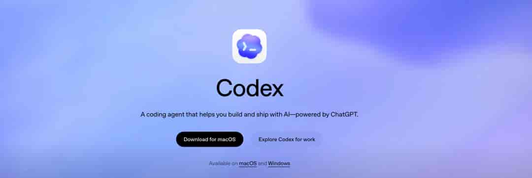 Codex 的终极使用教程。
