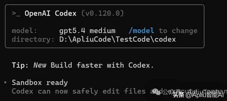 Codex 安装教程