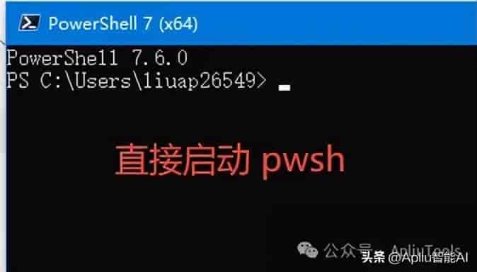 Codex 安装教程