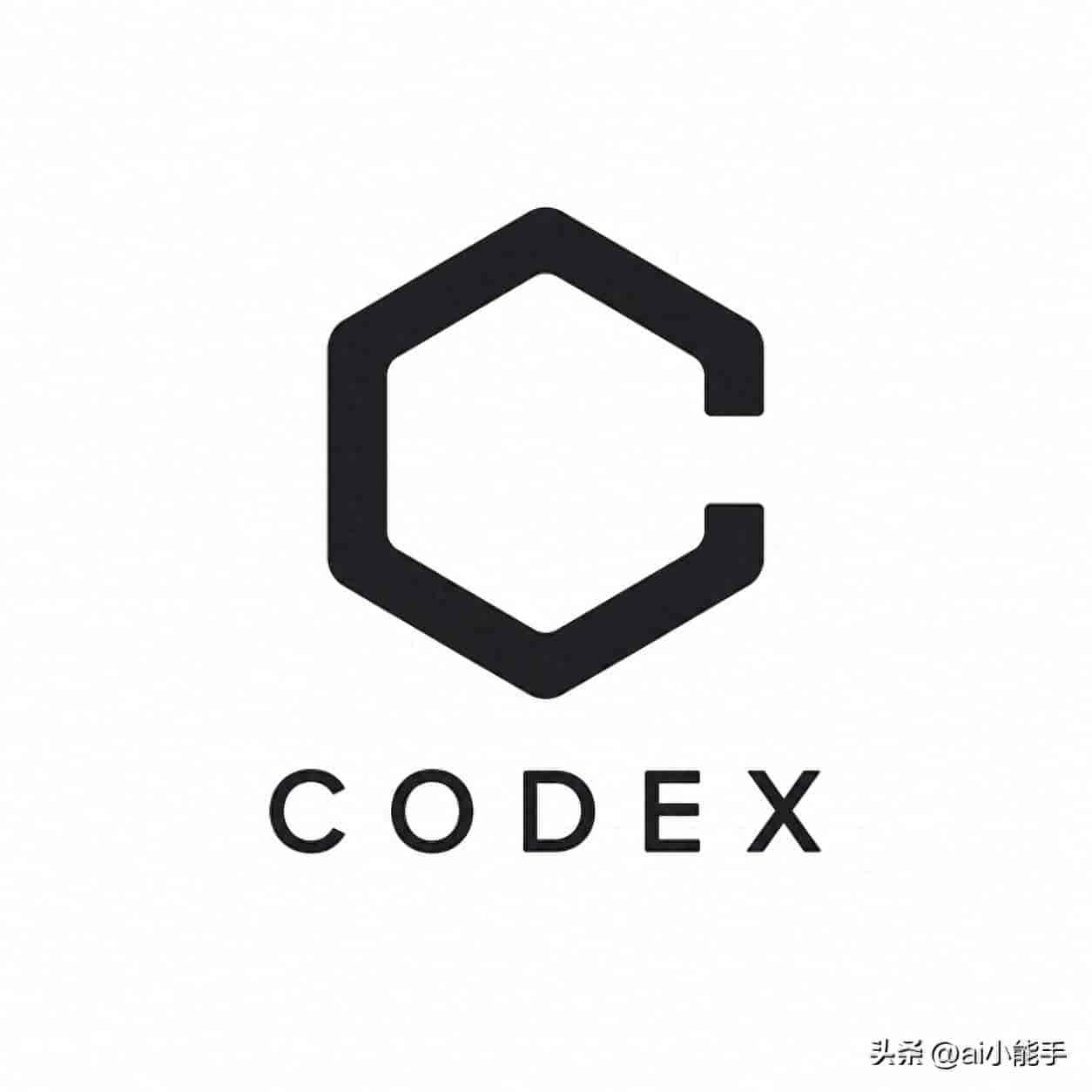 Codex 简单入门（零基础版）：不用先学编程，你只需要学会”派活”