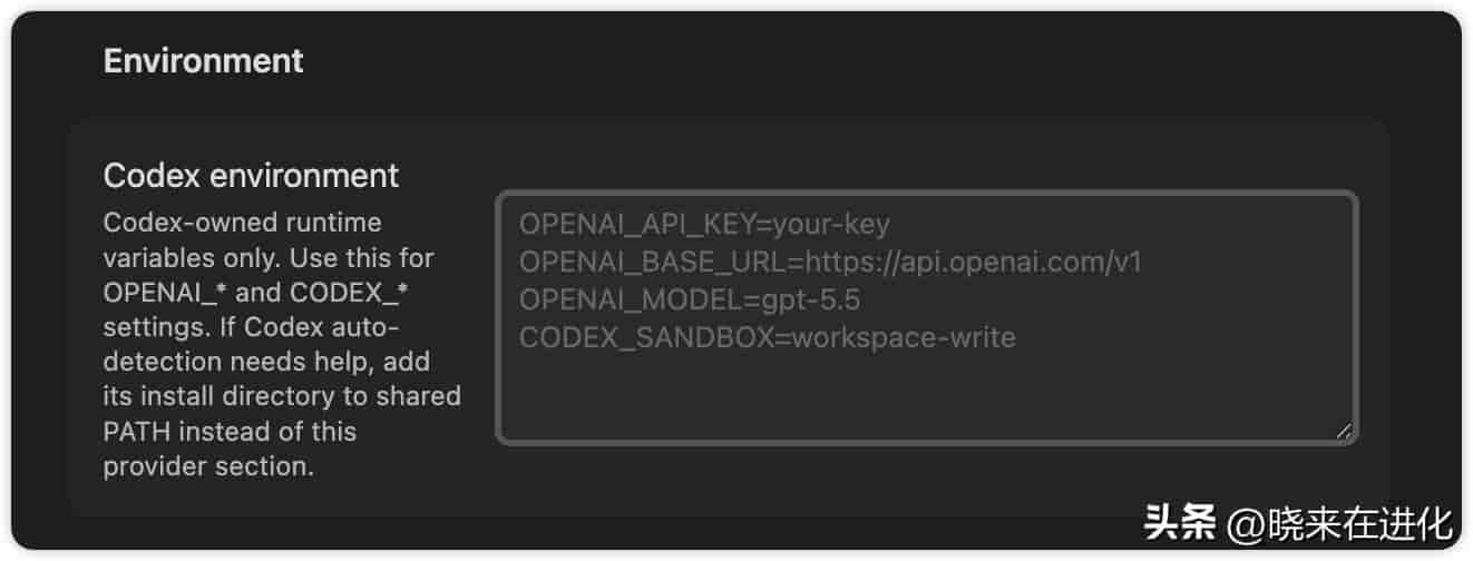 手把手教你用 Codex + Obsidian,搭建一个会自己成长的本地 AI 知识库