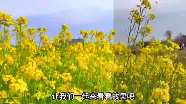 视频怎么调节高清又鲜亮,用好剪映这几个参数