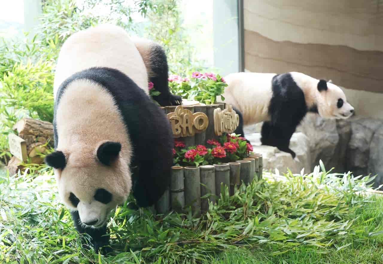 墨香情手游权限设置完整教程,彻底解决正版运行拦截问题