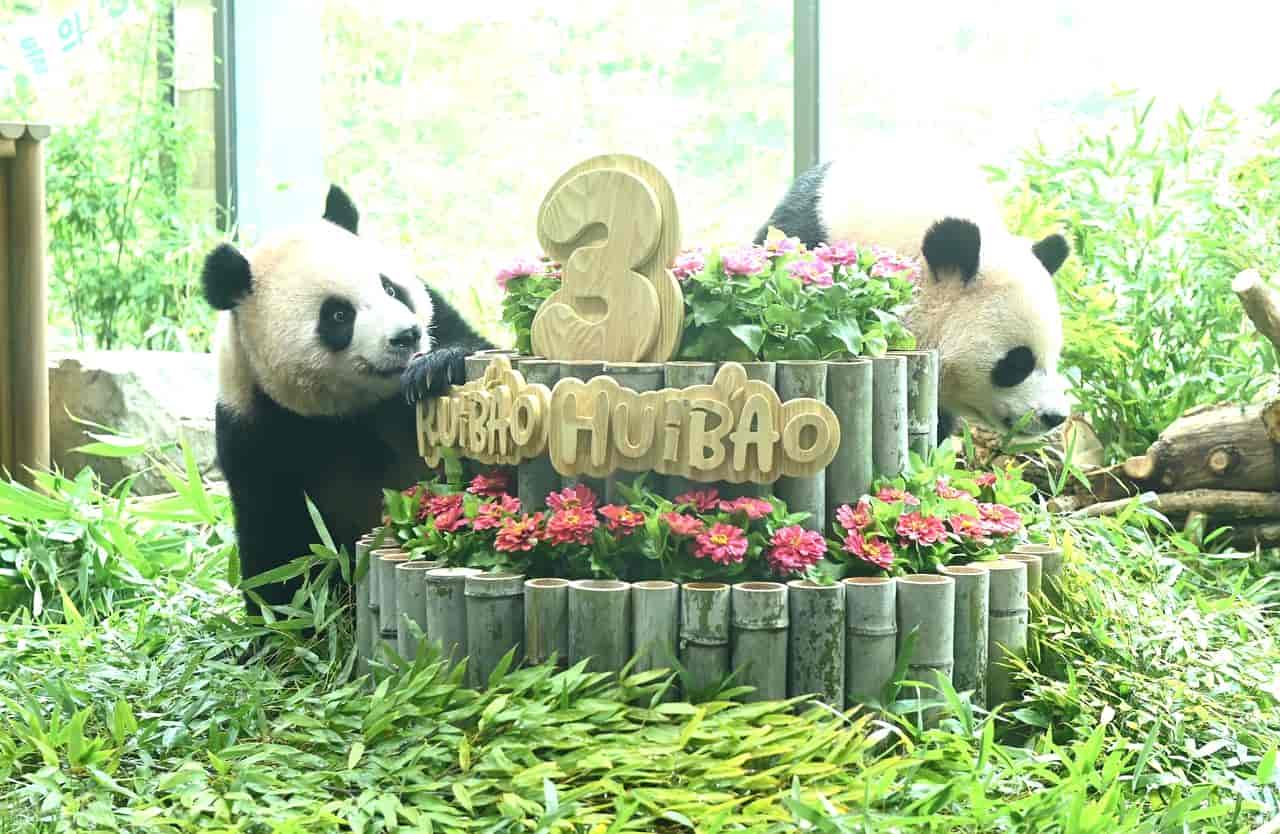 墨香情手游权限设置完整教程,彻底解决正版运行拦截问题