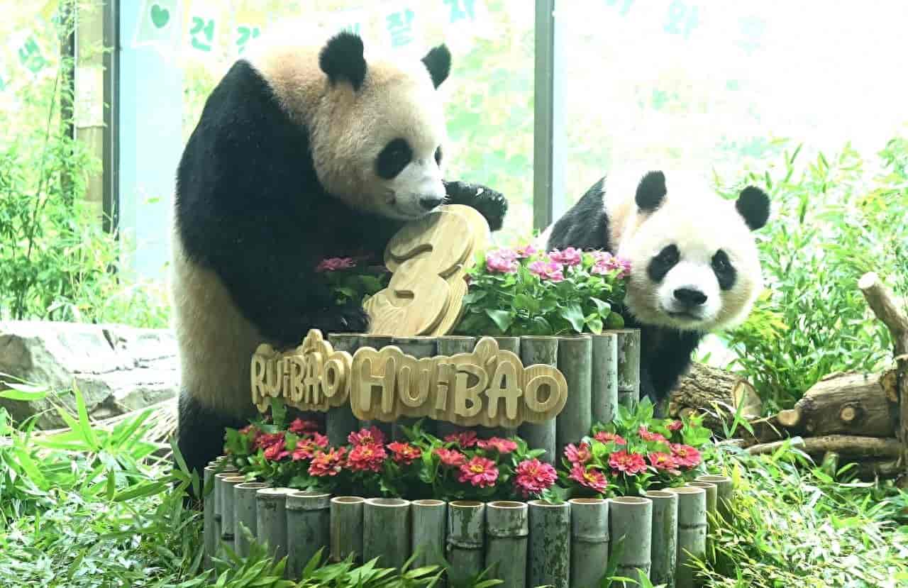 墨香情手游权限设置完整教程,彻底解决正版运行拦截问题