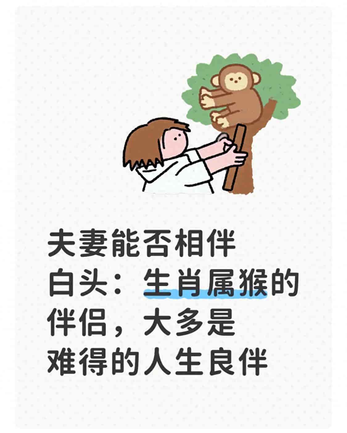 夫妻能否相伴白头：生肖属猴的伴侣，大多是难得的人生良伴