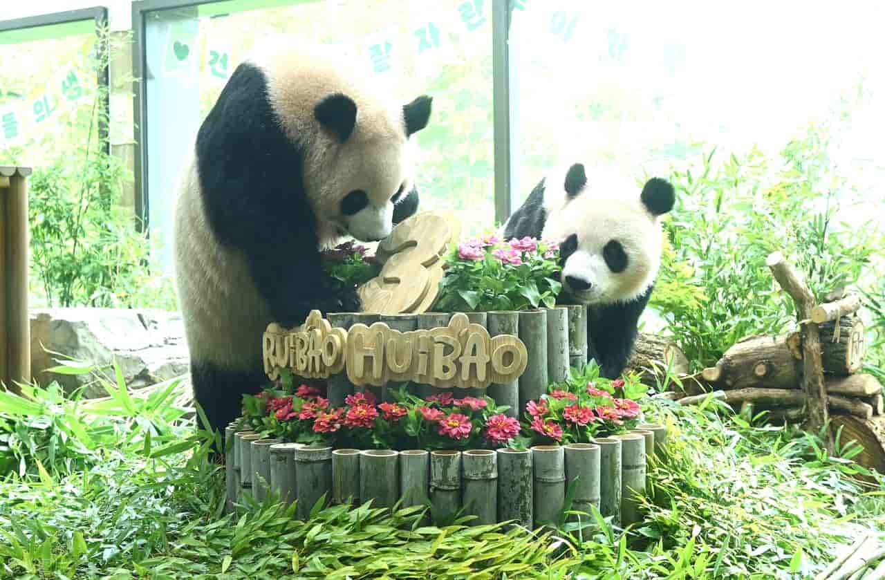 墨香情手游权限设置完整教程,彻底解决正版运行拦截问题