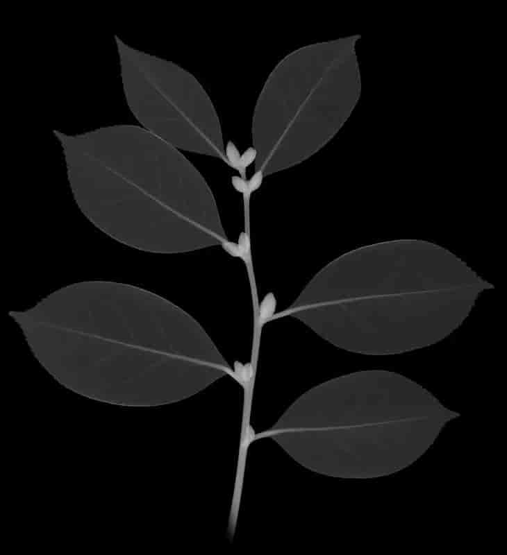 画世界Pro软件详细使用教程