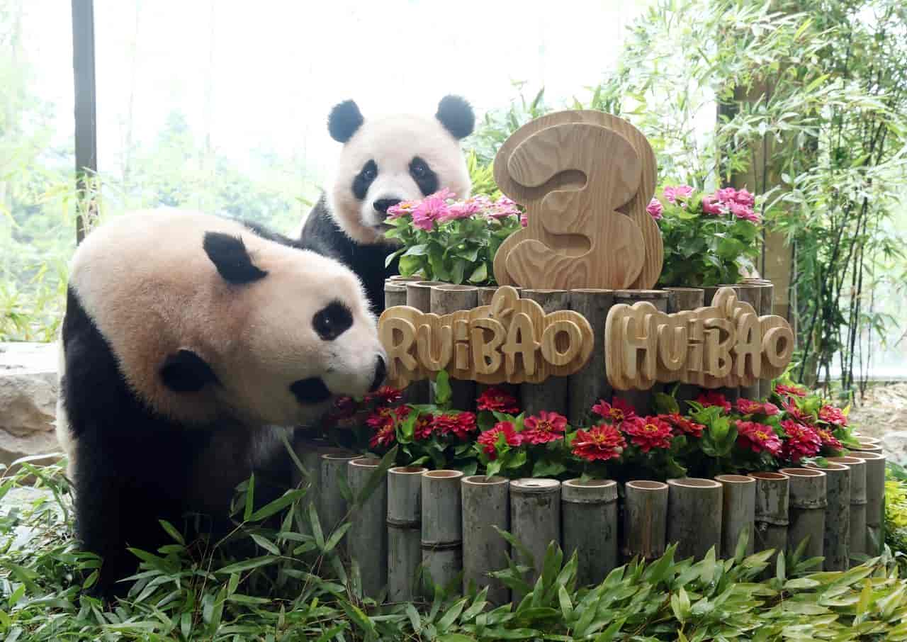 墨香情手游权限设置完整教程,彻底解决正版运行拦截问题