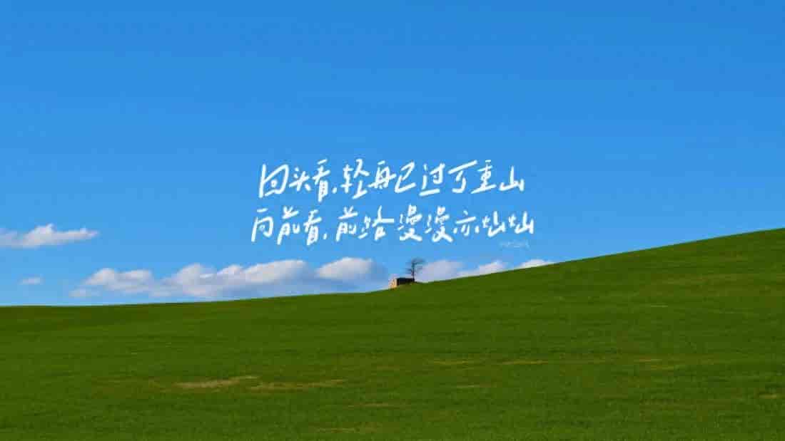 WPS宏安全，别再一刀切了！5步精准设置，安全高效两不误