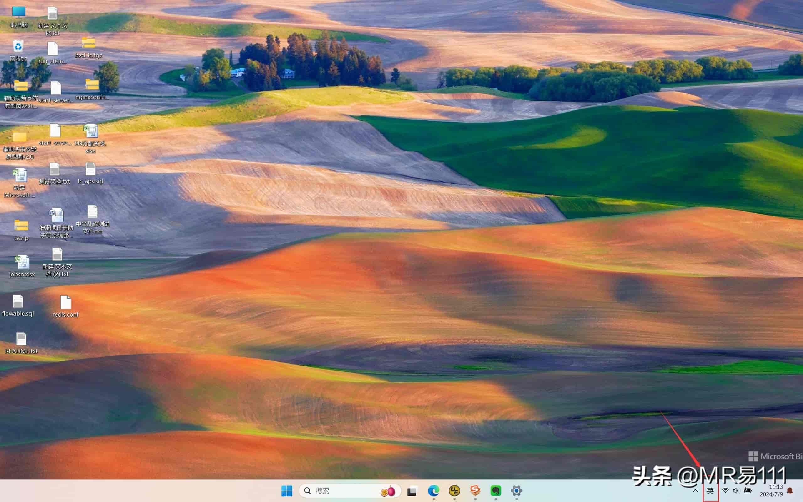 Windows 11 设置输入法