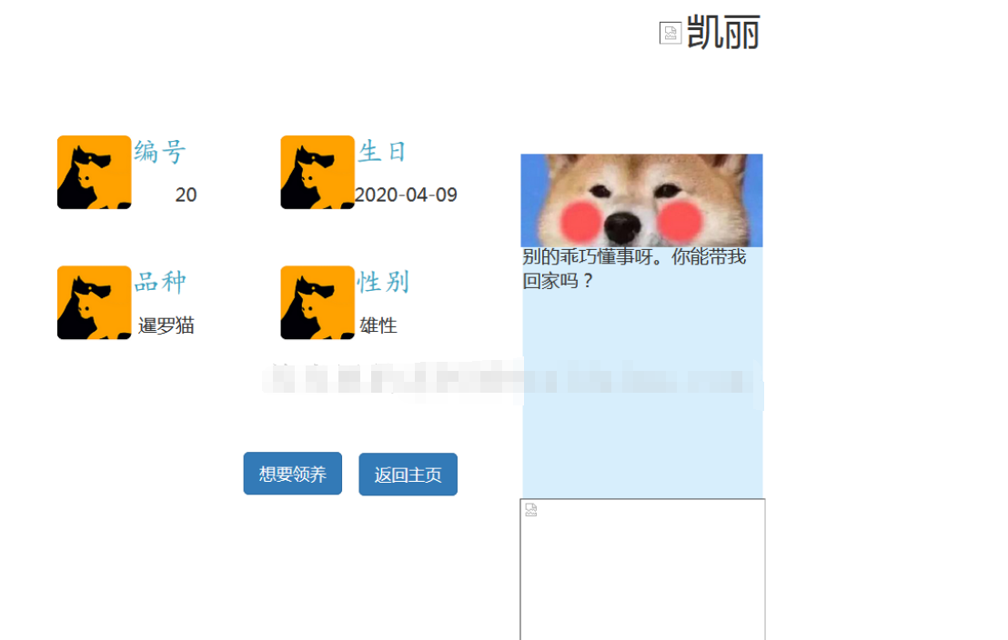 ssm流浪猫狗动物宠物jsp领养收容所管理系统寄养java mysql源码bs