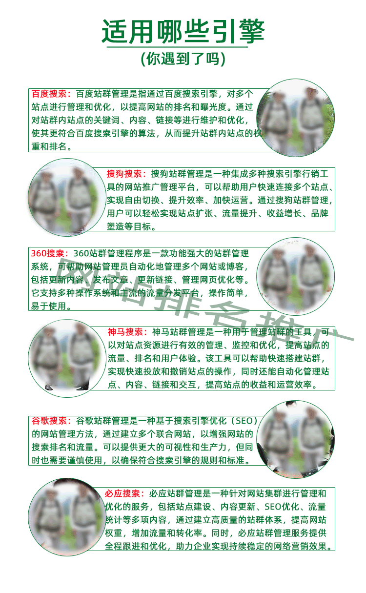 小旋风蜘蛛池X11 pro2.7程序 站群程序可采集可自动发布 店长推荐