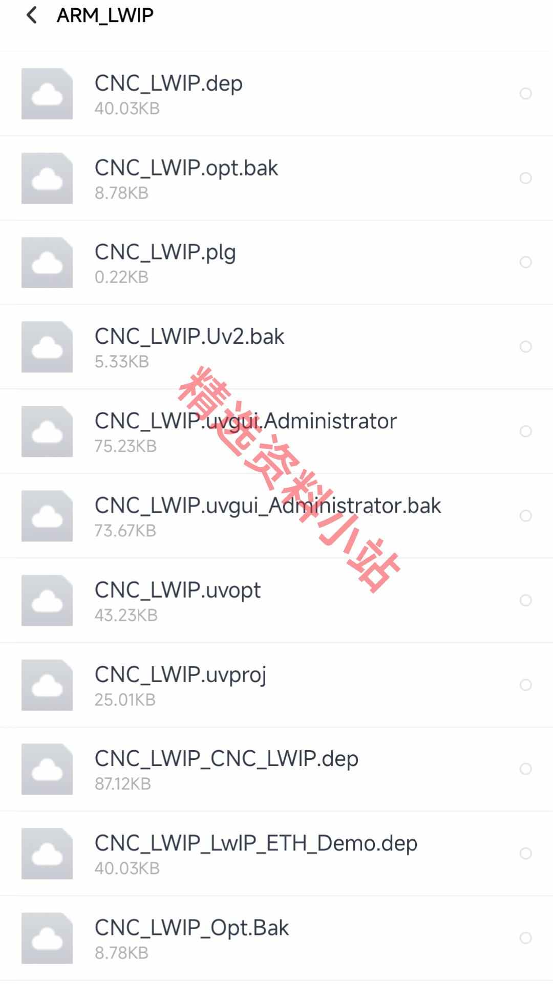 ARM+FPGA架构运动控制卡运动控制器源码原理图PCB图安装说明