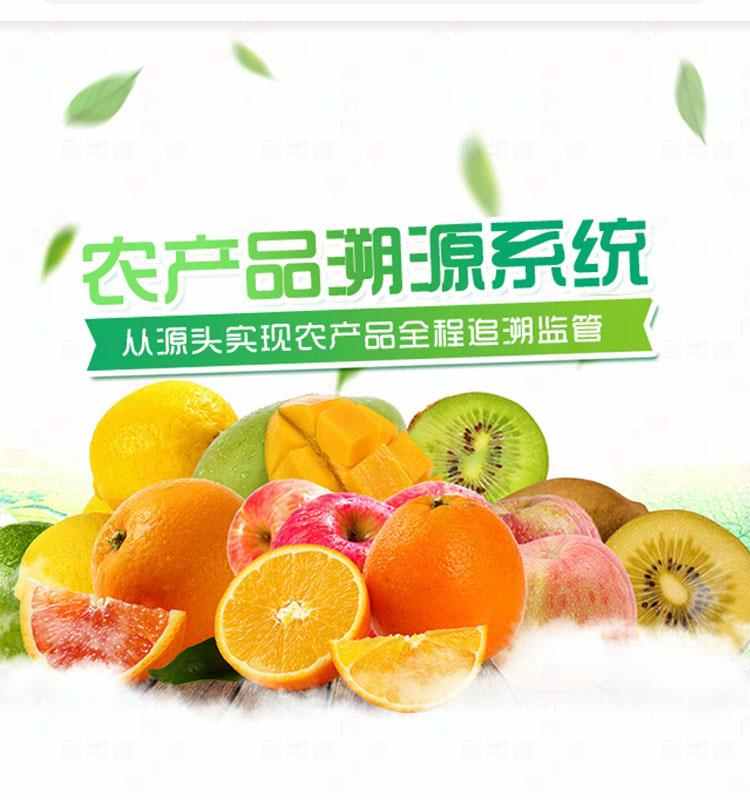 防伪授权农产品溯源二维码软件追溯网站源码防窜货查询系统