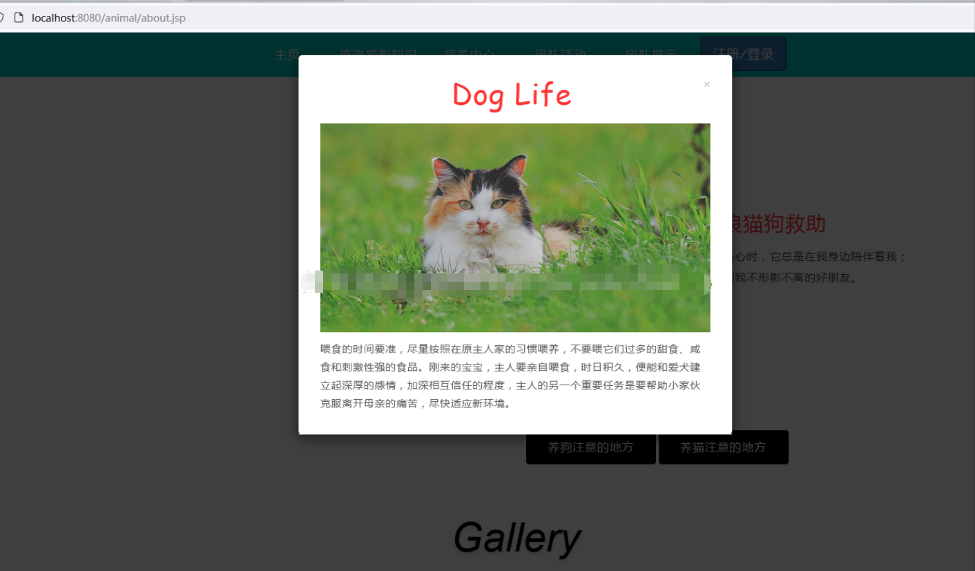 ssm流浪猫狗动物宠物jsp领养收容所管理系统寄养java mysql源码bs