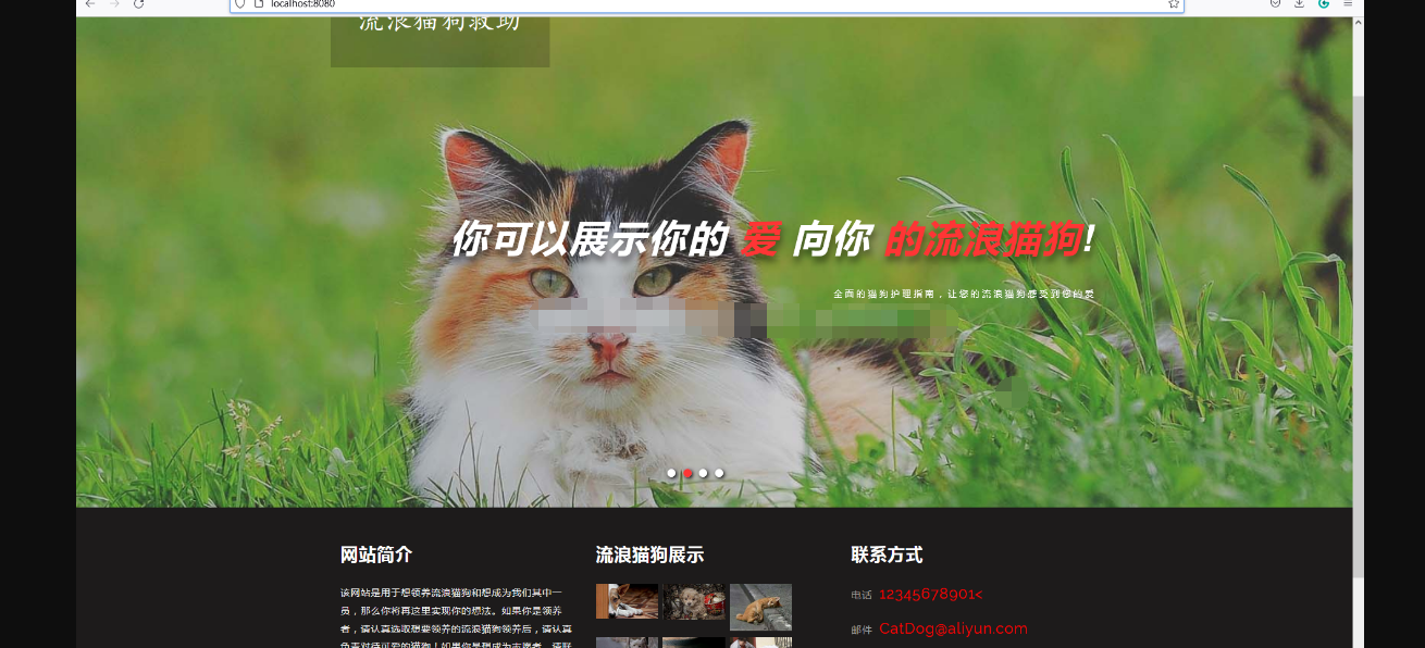 ssm流浪猫狗动物宠物jsp领养收容所管理系统寄养java mysql源码bs