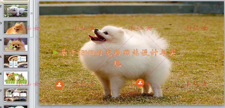 java宠物商城系统源代码 jsp猫狗交易平台项目设计源码 带文档ppt