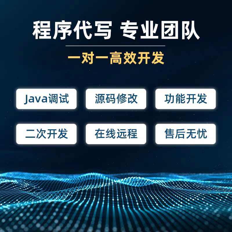 java调试/源码修改/功能开发/二次开发/在线远程/代码视频讲解
