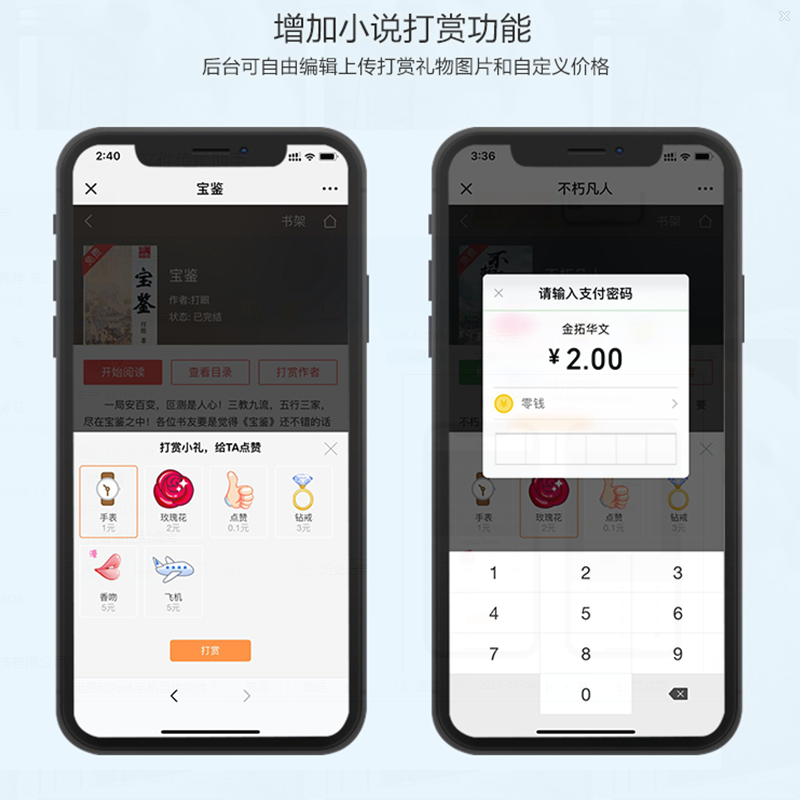 小说漫画app在线开发 有声小说会员体系广告配置 源码搭建