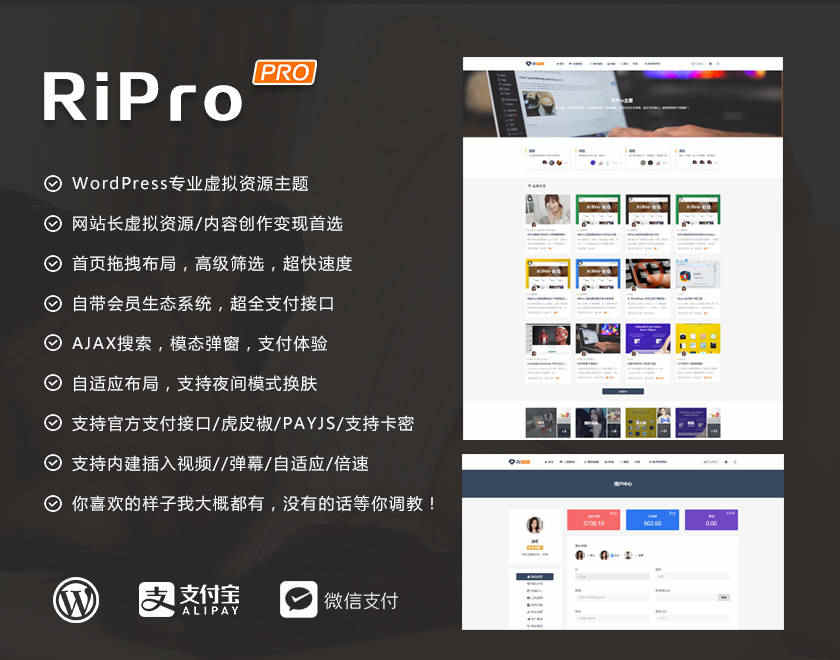 RIPRO日主题9.1修正版开源源码WP素材博客知识付费主题模板推荐