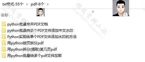 python项目自动办公源码word ppt Excel PDF 文件夹实例代码学习