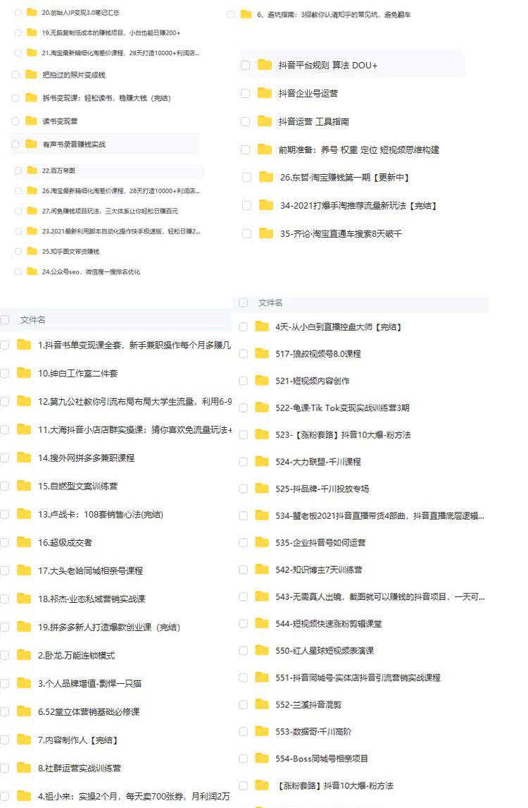 信息差项目教程各种全新热门玩法操作网络创业副业赚钱视频课程