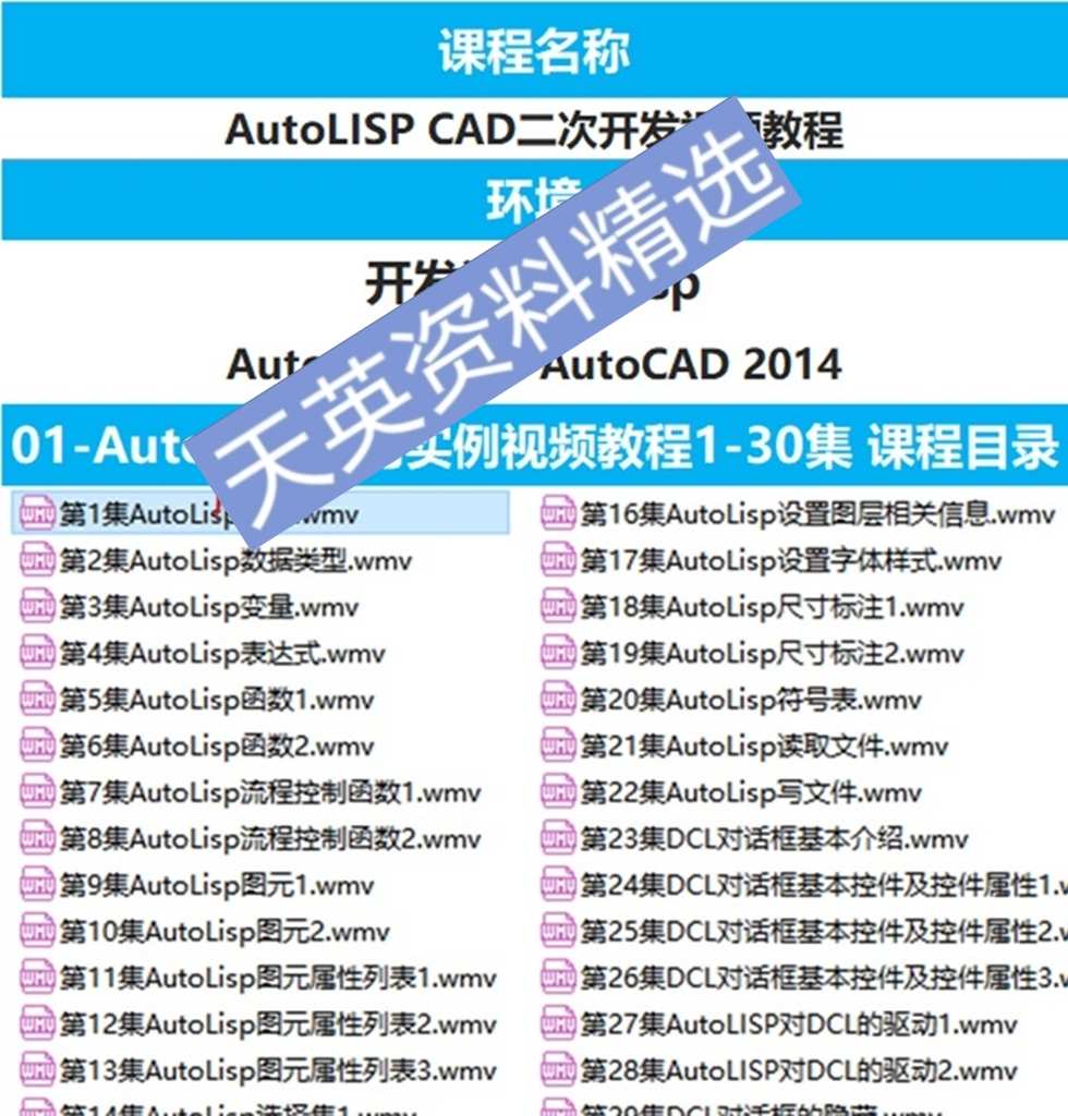 CAD二次开发教程lisp教程资源含视频教程和源码编辑器等
