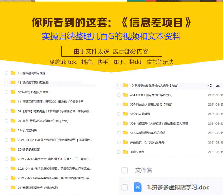 信息差项目教程各种全新热门玩法操作网络创业副业赚钱视频课程