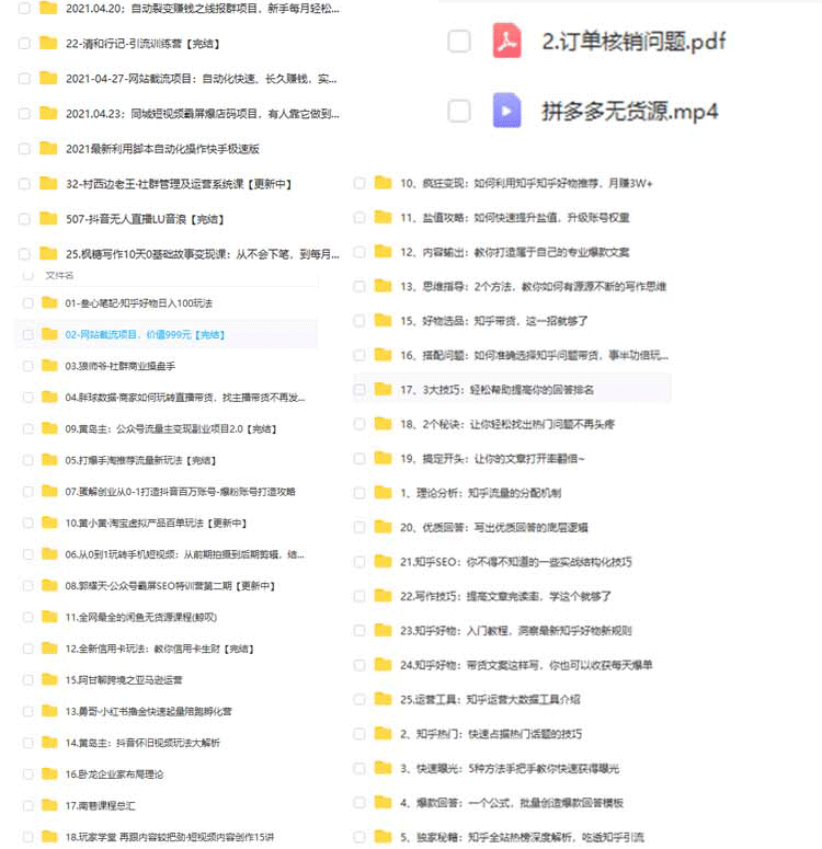 信息差项目教程各种全新热门玩法操作网络创业副业赚钱视频课程