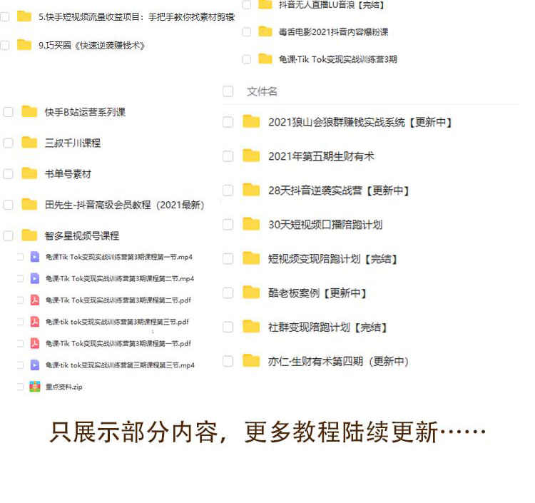 信息差项目教程各种全新热门玩法操作网络创业副业赚钱视频课程